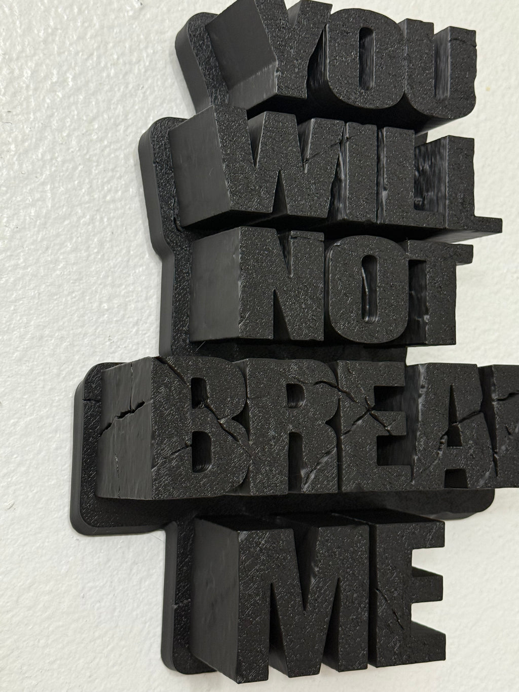 Dungeon Crawler Carl Mantra 12 inch wall decoration