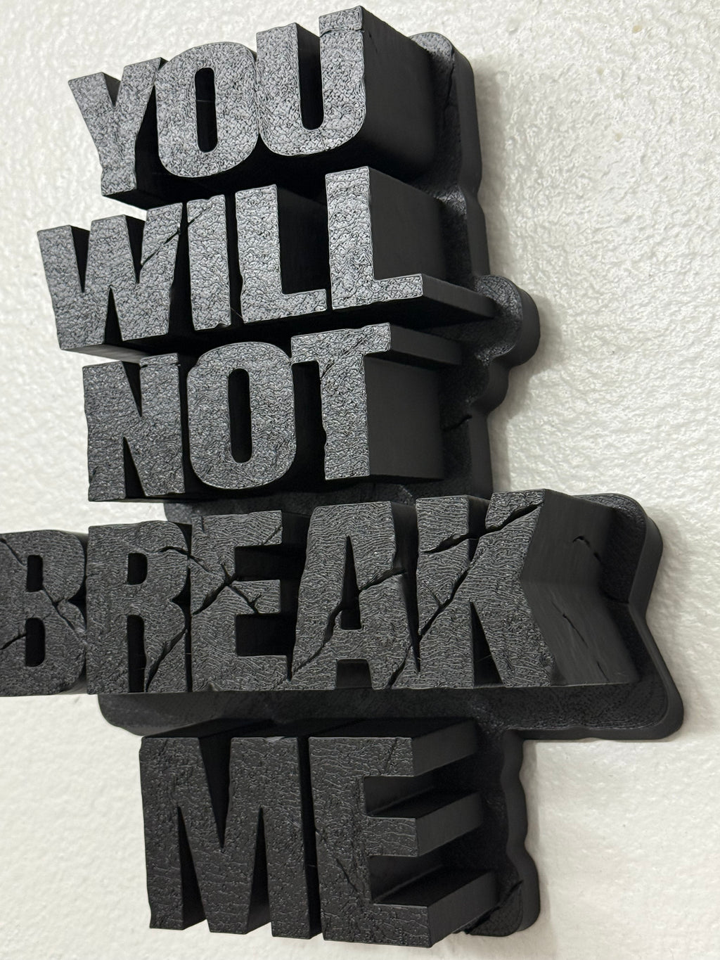 Dungeon Crawler Carl Mantra 12 inch wall decoration